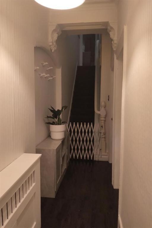 벨파스트 Aunty Katie'S House, Ni Tourist Board Certified With Free Continental Breakfast 아파트 외부 사진